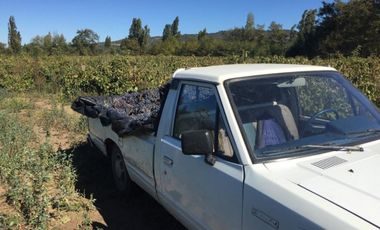 El Turco 2/Villa Alegre - Agricola - Venta