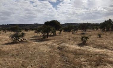 Sector Garza/Cruce Camino a Sauzal - Agricola - Venta
