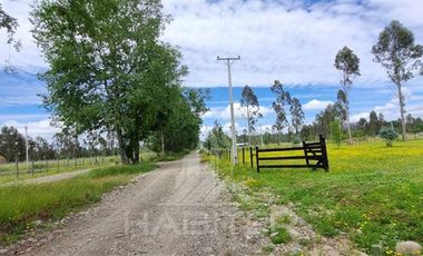 Parcela en Venta en COD36880 Sector Millahuin