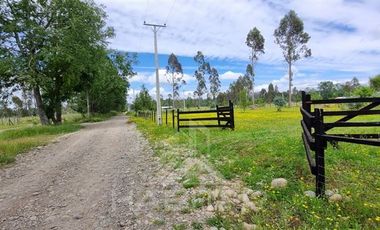 Parcela en Venta en COD36880 Sector Millahuin