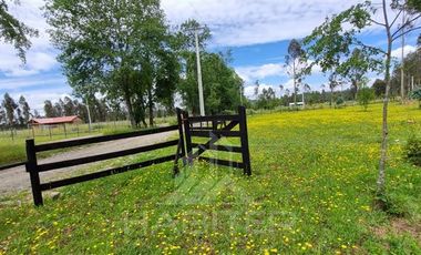 Parcela en Venta en COD36880 Sector Millahuin