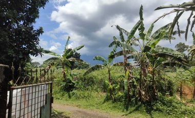 DIJUAL BANGUNAN RUMAH DENGAN TANAH KEBUN LUAS DI PAKUAN BOGOR SELATAN