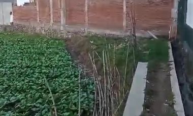 TANAH ORO ORO OMBO KOTA BATU MALANG