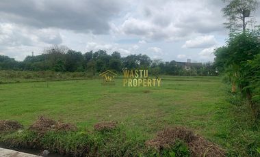 TANAH LUAS LEGALITAS JELAS AMAN SUDAH SHM DI GAMPING SLEMAN