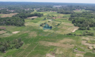 Dijual Tanah di Padasuka, Warunggunung, Lebak - Banten.