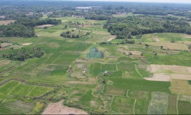 Dijual Tanah di Padasuka, Warunggunung, Lebak - Banten.