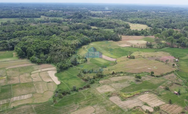 Dijual Tanah di Padasuka, Warunggunung, Lebak - Banten.