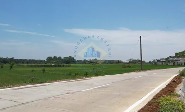 Dijual Tanah di Padasuka, Warunggunung, Lebak - Banten.