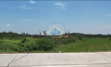 Dijual Tanah di Padasuka, Warunggunung, Lebak - Banten.