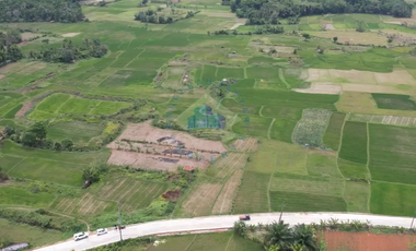 Dijual Tanah di Padasuka, Warunggunung, Lebak - Banten.