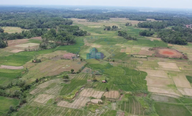 Dijual Tanah di Padasuka, Warunggunung, Lebak - Banten.