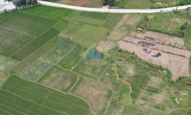 Dijual Tanah di Padasuka, Warunggunung, Lebak - Banten.