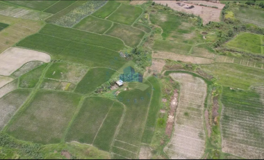 Dijual Tanah di Padasuka, Warunggunung, Lebak - Banten.