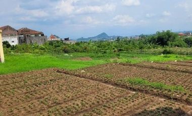 Tanah Kavling Di Nol Jalan Raya Kota Batu Malang Strategis Murah