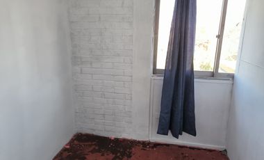 LOS FRANCISCANOS CON SANTA ROSA