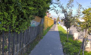 LOS FRANCISCANOS CON SANTA ROSA