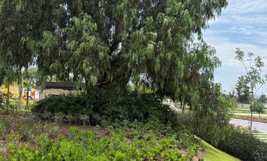 TERRENOS RESIDENCIALES PREMIUM EN VENTA HACIENDA PARAISO AL NORPONIENTE DE AGS