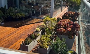 Venta Alquiler de departamento 3 ambientes en Vicente López