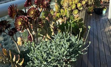 Venta Alquiler de departamento 3 ambientes en Vicente López