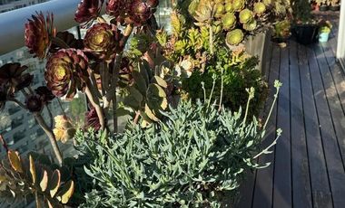 Venta Alquiler de departamento 3 ambientes en Vicente López