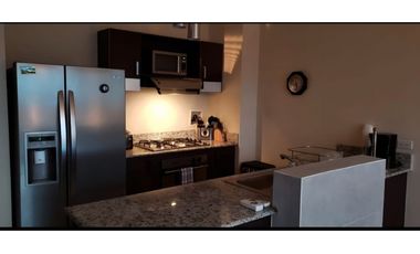 ALQUILER APARTAMENTO LOFT AMOBLADO EL CANGREJO
