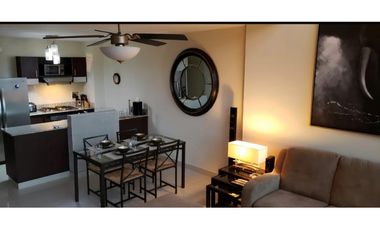 ALQUILER APARTAMENTO LOFT AMOBLADO EL CANGREJO