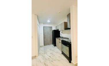 Ph The Gray,  Calle 50