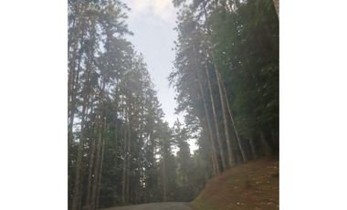 CERRO AZUL, CASA Y LOTE 2000MTS, CERCADA CON GARITA DE SEGURIDAD
