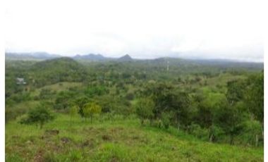 PENONOME,VENDO FINCA 16 HECTAREAS Y MEDIA CERCADA