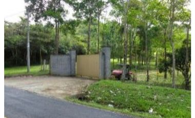 PENONOME,VENDO FINCA 16 HECTAREAS Y MEDIA CERCADA