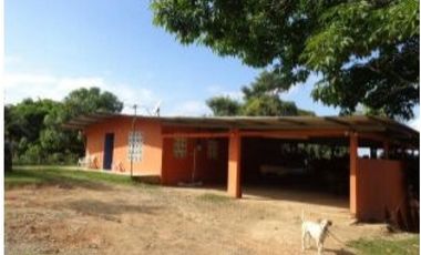 PENONOME,VENDO FINCA 16 HECTAREAS Y MEDIA CERCADA