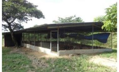 PENONOME,VENDO FINCA 16 HECTAREAS Y MEDIA CERCADA