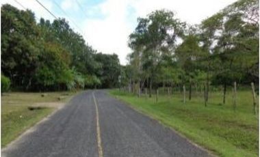 PENONOME,VENDO FINCA 16 HECTAREAS Y MEDIA CERCADA