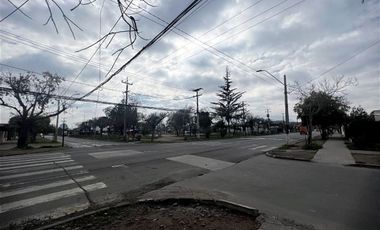 Local Comercial en Venta en Olivillo - Domeyko