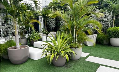 PH Van Gogh, El Cangrejo, linea blanca