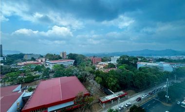 PH Van Gogh, El Cangrejo, linea blanca