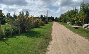 VENTA DE CASA EN Lobos