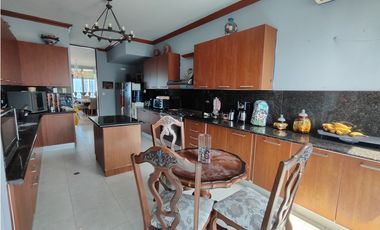 ALQUILER APARTAMENTO PUNTA PACIFICA