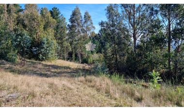 Parcela en Venta camino a Punucapa Km 10 | VALDIVIA