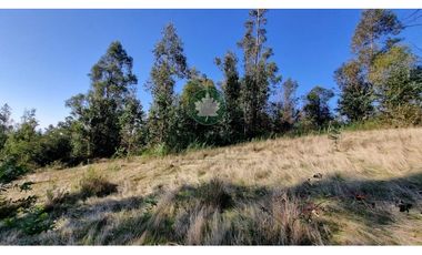 Parcela en Venta camino a Punucapa Km 10 | VALDIVIA