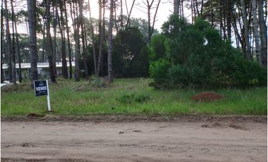 PINAMAR- LOTE JUNCAL 15
