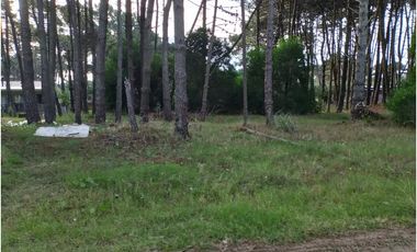 PINAMAR- LOTE JUNCAL 15
