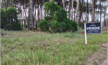 PINAMAR- LOTE JUNCAL 15