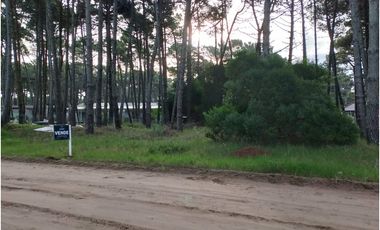 PINAMAR- LOTE JUNCAL 15