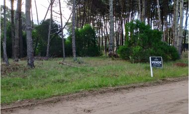 PINAMAR- LOTE JUNCAL 15