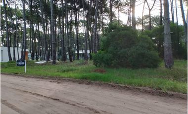 PINAMAR- LOTE JUNCAL 15
