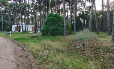 PINAMAR- LOTE JUNCAL 15