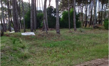 PINAMAR- LOTE JUNCAL 15