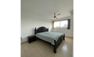 ALQUILER APARTAMENTO ALBROOK
