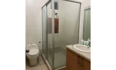 ALQUILER APARTAMENTO ALBROOK